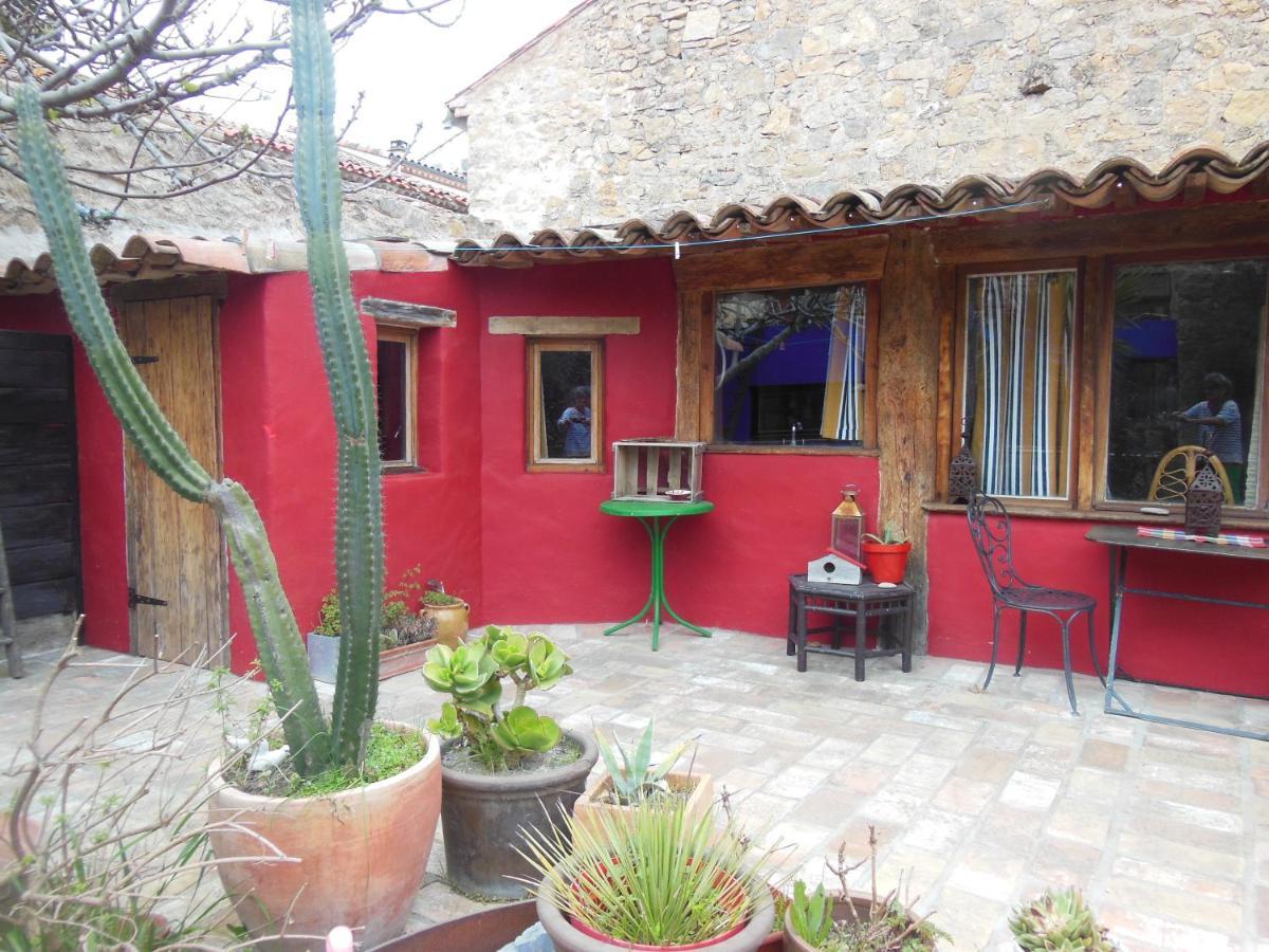 Maison Dans Jardin Villeseque-des-Corbieres Exterior foto